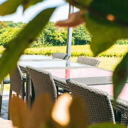 Domaine De Canteloup Au Coeur Des Vignes Avec Piscine Pensión