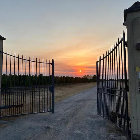 Domaine De Canteloup Au Coeur Des Vignes Avec Piscine Pensión *